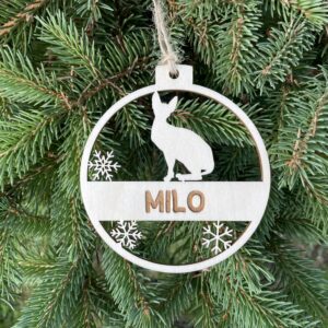 Christmas Ornament for Cats Personalized Name